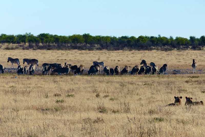 Namibia